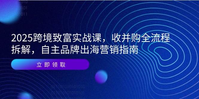 2025跨境致富实战课，收并购全流程拆解，自主品牌出海营销指南| 网创圈