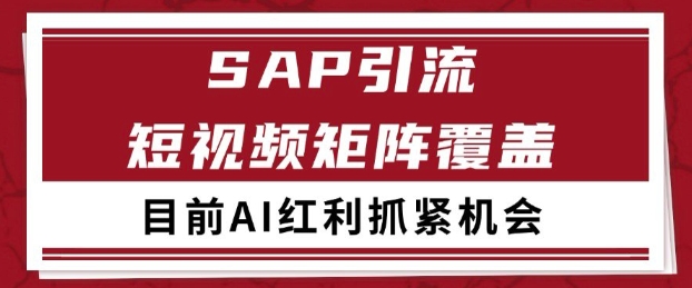 小红书某音sap赛道引流获客 自热矩阵日引200+| 网创圈