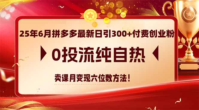 （14989期）25年6月拼多多最新日引300+付费创业粉，0投流纯自热 卖课月变现六位数方法| 网创圈