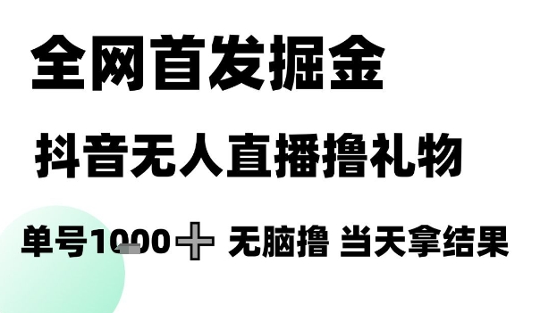 全网首发掘金抖音无人直播撸礼物，单号1k +无脑撸，当天拿结果| 网创圈