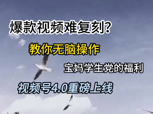视频号4.0重磅上线，爆款视频难复刻？教你无脑操作宝妈学生党的福利| 网创圈