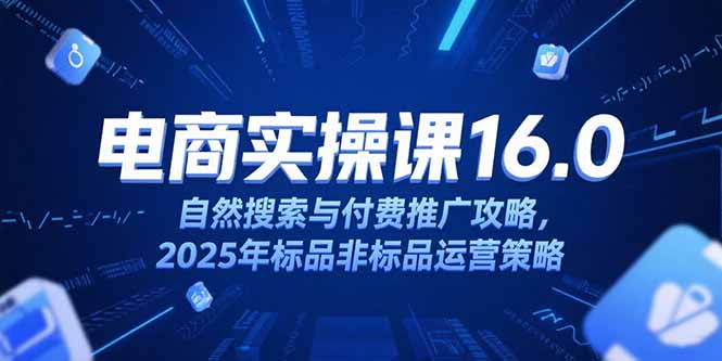 淘宝电商运营课16.0，自然搜索与付费推广攻略，2025年标品非标品运营策略| 网创圈