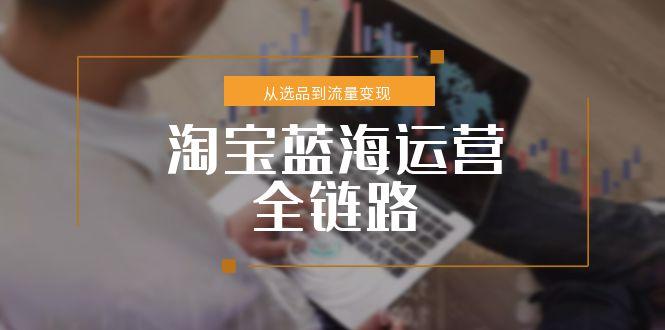 淘宝蓝海运营全链路，从选品到流量变现，小类目突围完整方案| 网创圈