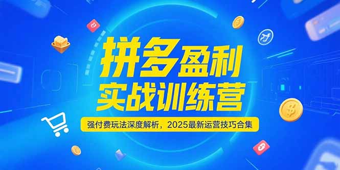 拼多多盈利实战训练营，强付费玩法深度解析，2025运营技巧合集-更新6月| 网创圈