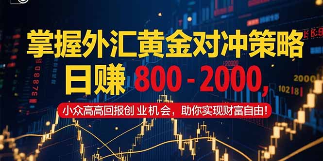 掌握外汇黄金对冲策略，日赚 800 – 2000，小众高回报创业机会，助你实…| 网创圈
