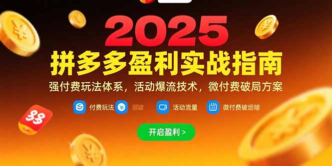 拼多多盈利实战指南，强付费玩法，活动爆流技术，微付费破局方案(更新7月| 网创圈