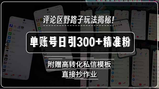 评论区野路子玩法揭秘！单账号日引300+精准粉，附赠高转化私信模板，直…| 网创圈