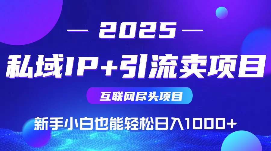 2025网创尽头项目，私域IP+引流，新手小白也能在家日入1000+| 网创圈