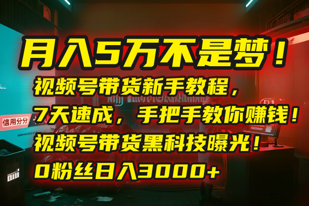 月入5万不是梦！视频号带货新手教程，7天速成，手把手教你赚钱！视频号…| 网创圈