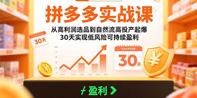 拼多多实战课：从高利润选品到自然流高投产起爆 30天实现低风险可持续盈利| 网创圈
