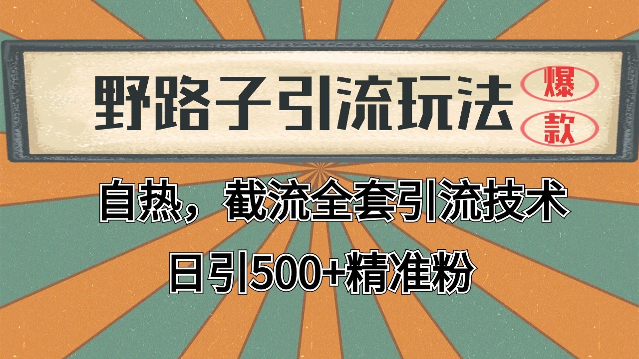2024首发野路子引流玩法截流自热全平台打法，全自动引流【日引2000+精准客户】| 网创圈