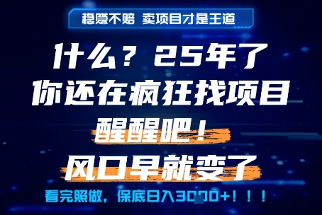 什么？25年你还在疯狂找项目做，醒醒吧，看完这些你全都懂了！【揭秘】| 网创圈
