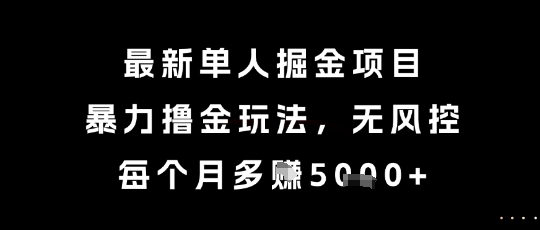 最新单人掘金项目，暴力撸金玩法，无风控，每个月多挣5k+【揭秘】| 网创圈