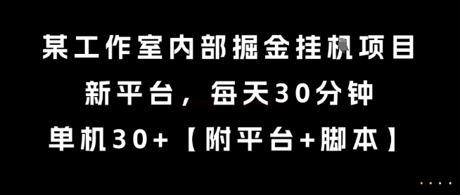 某工作室内部掘金挂G项目，新平台，每天30分钟，单机30+【揭秘】| 网创圈