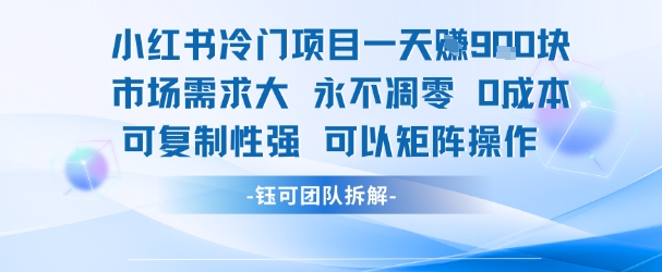 小红书冷门项目一天收益9张，市场需求大，0成本，可复制性强可以矩阵操作| 网创圈