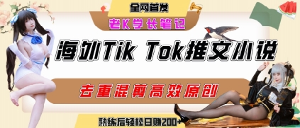 海外tiktok小说推文暴力项目，高停留率，高转化率，上手后一天搞顿饭钱不是问题| 网创圈
