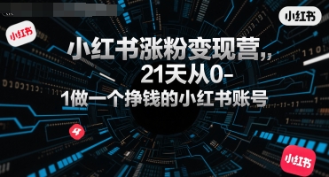 小红书涨粉变现营，21天从0-1做一个挣钱的小红书账号| 网创圈