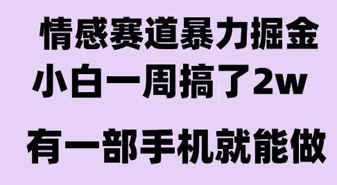 情感暴力掘金项目，新人操作一周挣了2W，长期稳定小白可做【揭秘】| 网创圈