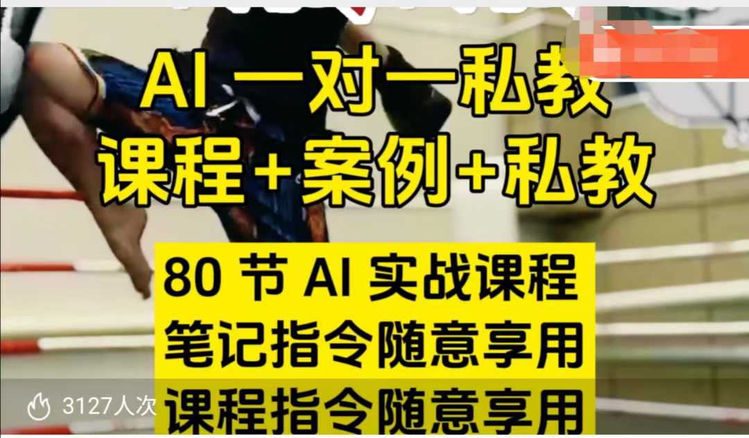 AI指令实战课，课程+案例，80节AI实战课程，笔记指令随意享用，课程指令随意享用(更新7月)| 网创圈