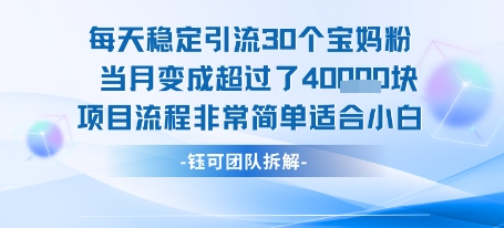 每天稳定引流30个人 当月变成超过了4个W项目流程非常简单适合小白| 网创圈