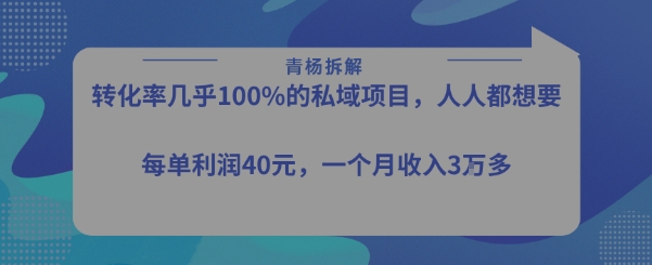 转化率最高的私域项目，每单利润40-50米，月入过1w| 网创圈
