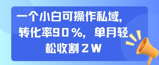 一个小白可操作私域，转化率90%，单月轻松收割2W| 网创圈