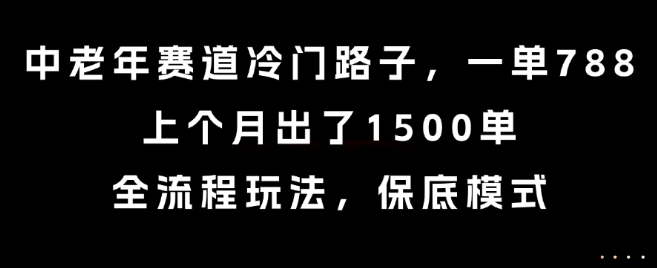中老年赛道冷门路子，一单788，上个月出了1500单，全流程玩法，保底模式【揭秘】| 网创圈