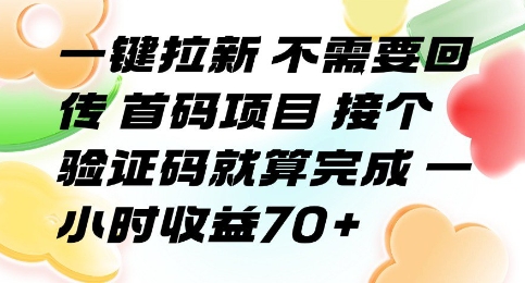 一键拉新 不需要回传 首码项目 接个验证码就算完成 一小时收益70+【揭秘】| 网创圈