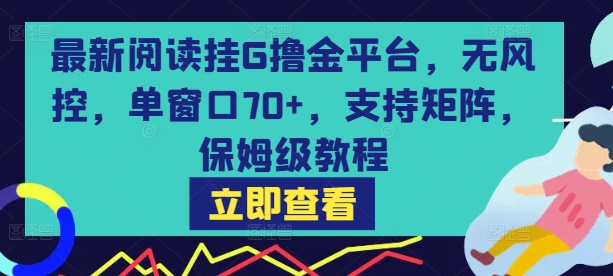 最新阅读挂G撸金平台，无风控，单窗口70+，支持矩阵，保姆级教程【揭秘】| 网创圈