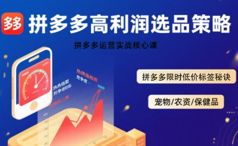 拼多多选品暴利技术实战课，拼多多高利润选品策略，拼多多限时低价标签秘诀| 网创圈