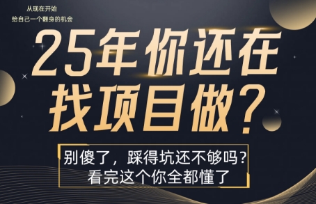 25年，你还在疯狂的找项目吗？别傻了，看完这个你都懂了【揭秘】| 网创圈