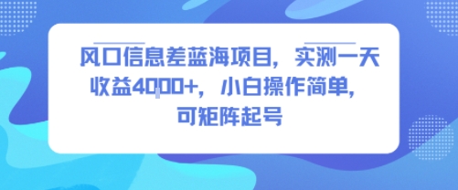 风口信息差蓝海项目，实测一天收益4k+，小白操作简单，可矩阵起号| 网创圈
