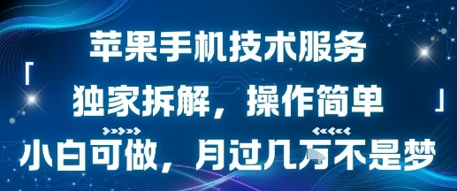 苹果手机技术服务，独家拆解，操作简单，小白可做，月过1W不是梦| 网创圈