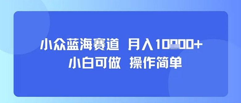 小众蓝海赛道，小白可做，操作简单，每天30分钟，月入1W+| 网创圈
