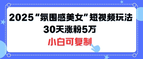 不露脸也能火！2025“氛围感美女”短视频玩法，30天涨粉5W小白可复制| 网创圈