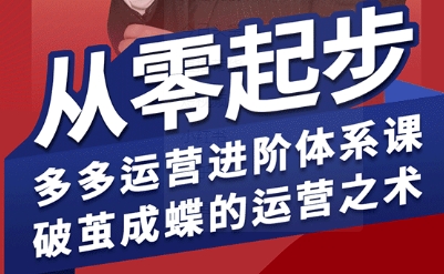 拼多多运营进阶系统课，从零起步，多多运营进阶体系课，破茧成蝶的运营之术| 网创圈