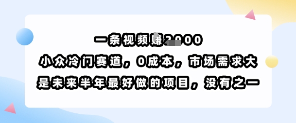 一条视频挣1k，小众冷门赛道，0成本，市场需求大，是未来半年最好做的项目，没有之一| 网创圈