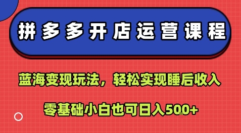 拼多多开店运营课程：蓝海变现玩法，轻松实现睡后收入，零基础小白也可日入5张| 网创圈