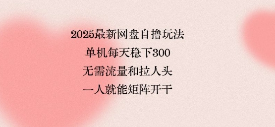 2025最新网盘自撸玩法，单机每天稳下3张，无需流量和拉人头，一个人就可轻松矩阵，全网独一份【揭秘】| 网创圈