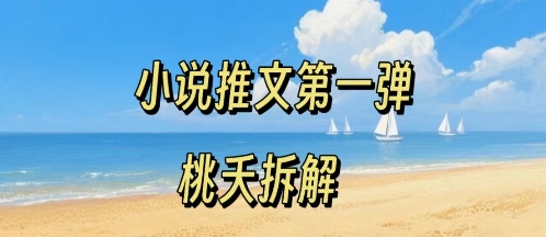 小说推文项目操作全流程第一弹，0粉就能做，门槛低非常适合新手| 网创圈