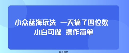 小众蓝海玩法 一天搞了四位数 小白可做 操作简单| 网创圈