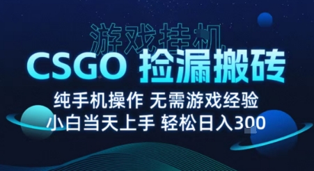 8月最新游戏搬砖，CSGO纯挂G，不需要玩游戏，实现真挂G，月入1W+【揭秘】| 网创圈