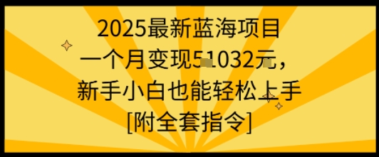 2025最新蓝海项目一个月变现1w+新手小白也能轻松上手【附全套指令】| 网创圈