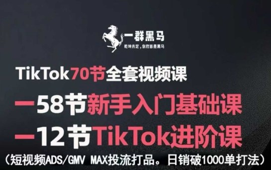 TikTok全套视频课，新手入门+进阶课，短视频ADS-GMV MAX投流打品，日销破1000单打法| 网创圈
