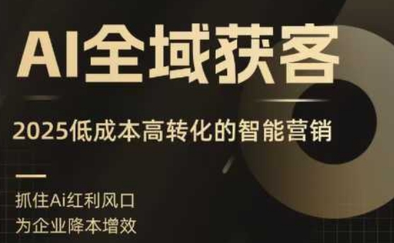 AI全域获客实训营，2025低成本高转化的智能营销，精准找客，高效营销| 网创圈