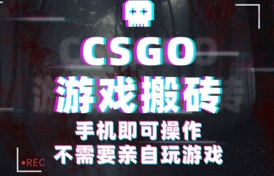 CSGO游戏挂G捡漏，单日扫货5张+，年底小高峰上车可吃肉，手机即可操作，兼职副业创业网创【揭秘】| 网创圈