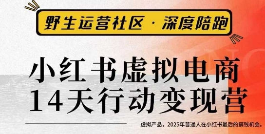 小红书虚拟电商14天变现训练营3.0，​虚拟产品，2025年普通人在小红书最后的搞钱机会| 网创圈