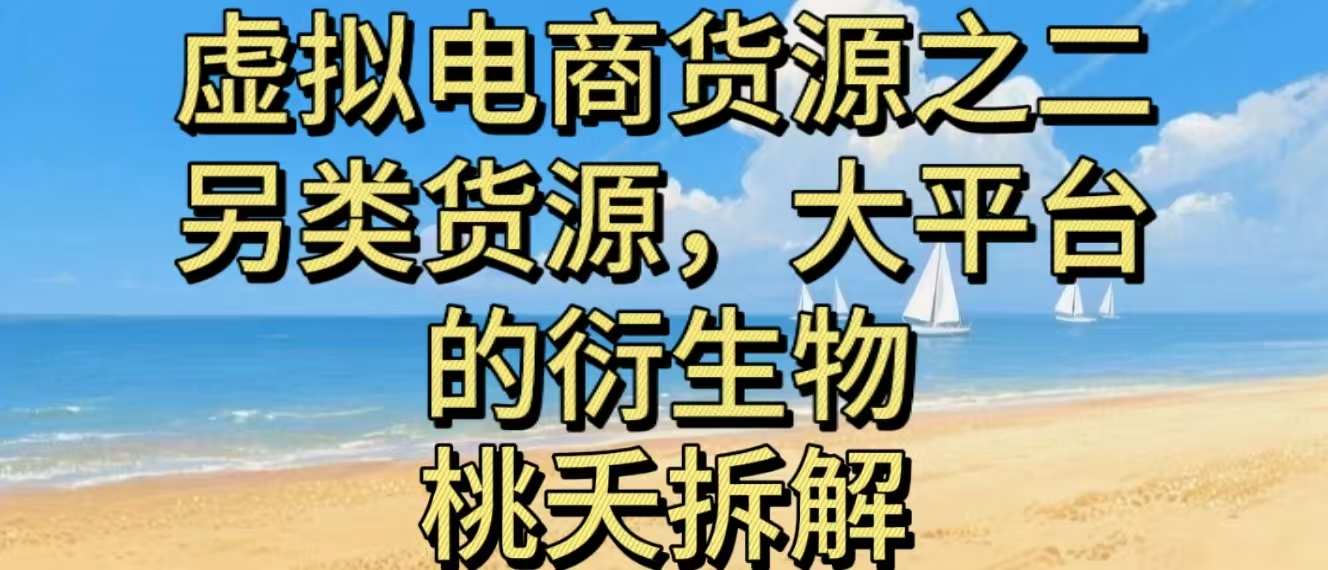 虚拟电商之二—另类的货源，大平台的衍生物| 网创圈