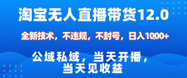 淘宝无人直播12.0，公域私域技术，不封号，不违规布局双十一流量风口，日入1k(独家技术)【揭秘】| 网创圈