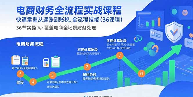 电商财务全流程实战课程：快速掌握从建账到报税的全流程技能(36节课| 网创圈